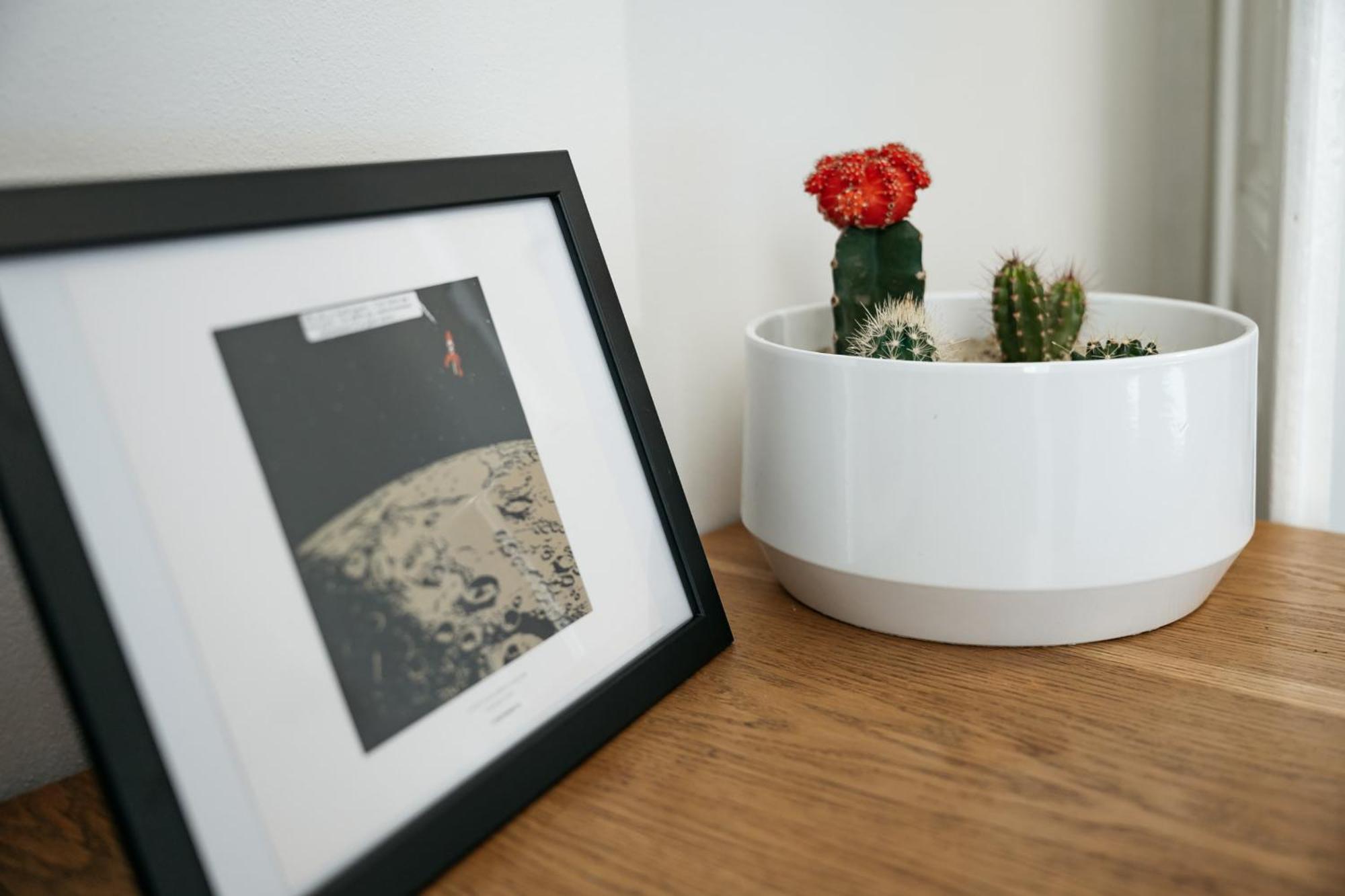 Comfortable And Cosy A Few Steps From Dancing House And Naplavka Dance Praag